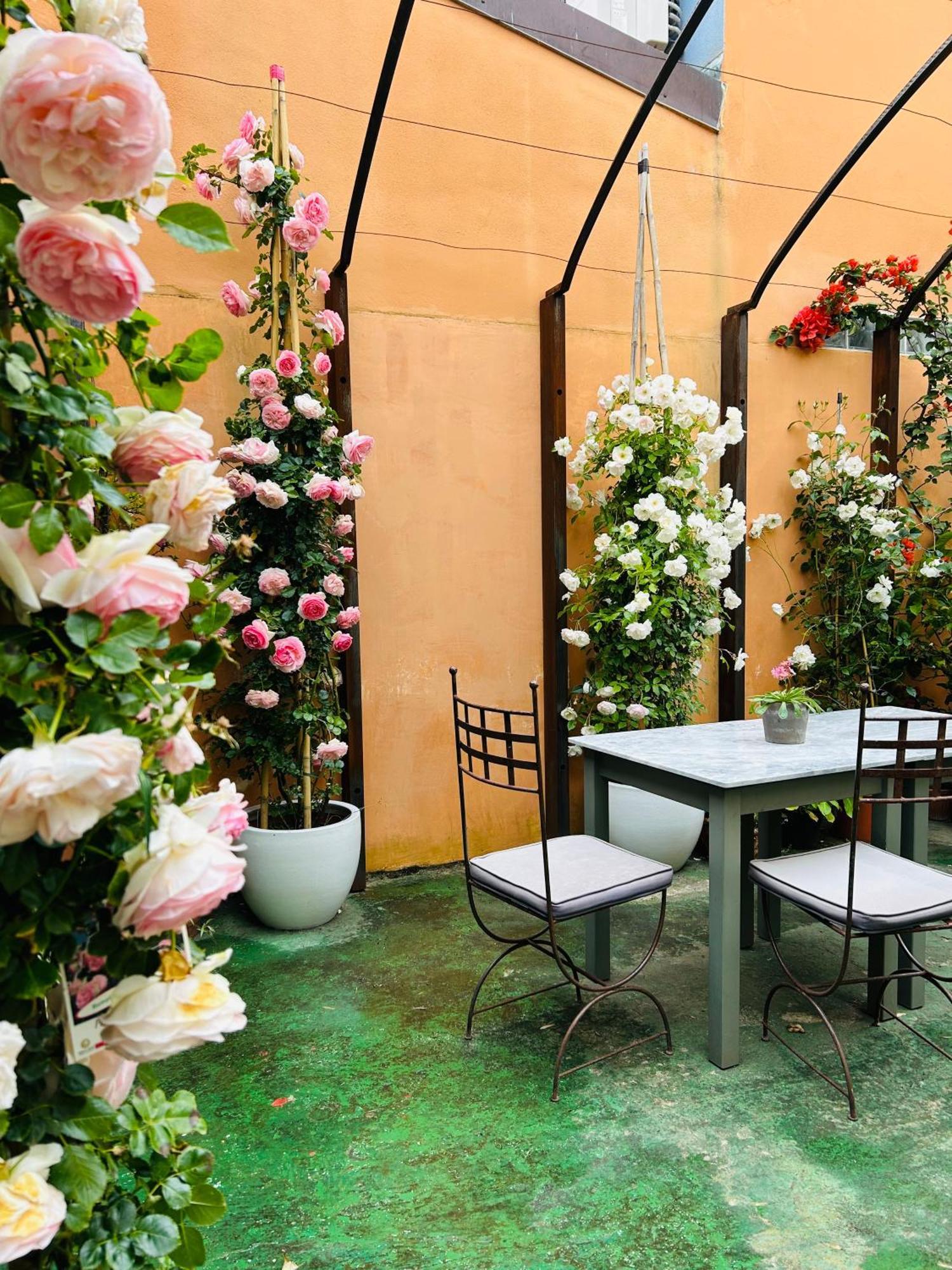 Art Hotel Pietrasanta Exterior photo